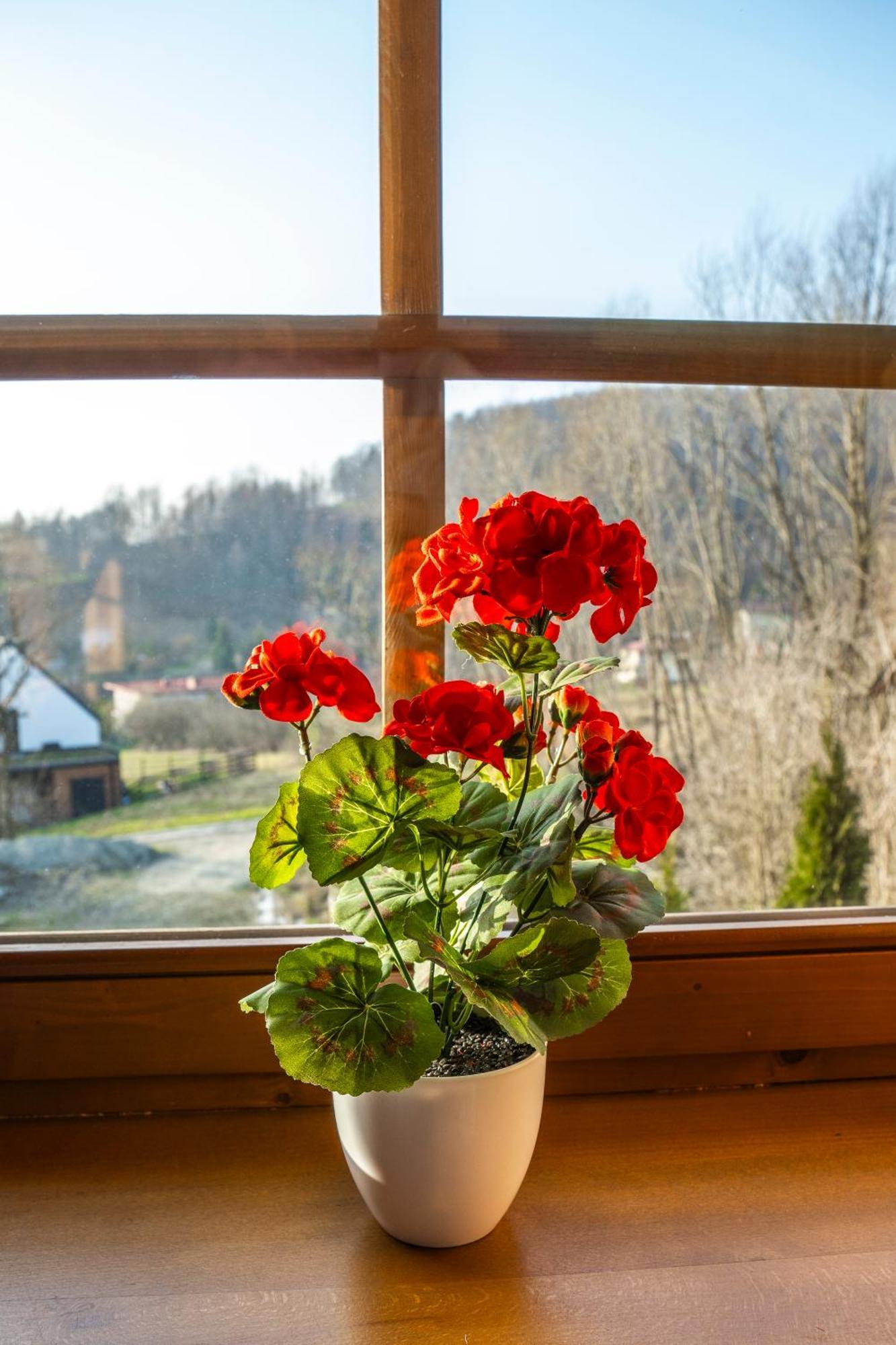 Jaworowa Osada Villa Brenna Eksteriør billede